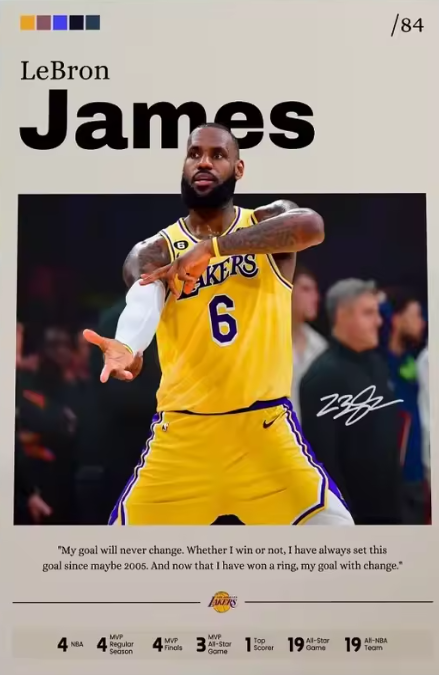 Lebron The King James +SWposter